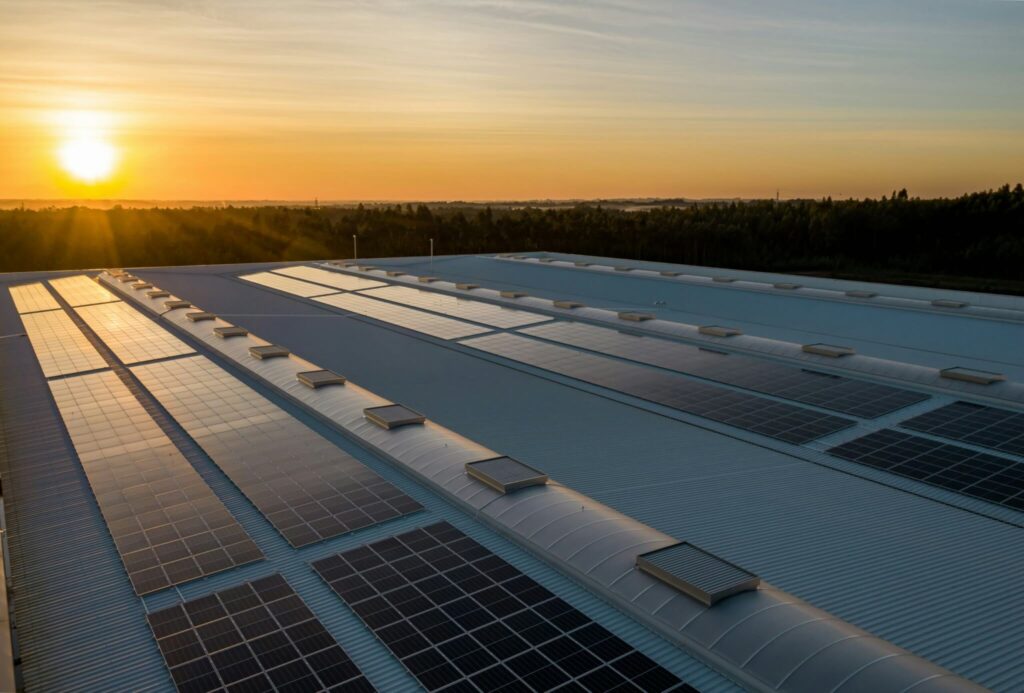 The Ultimate Guide to Solar Energy for Businesses